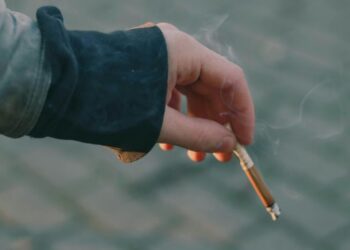 Best Menthol Cigarettes: A Smart User’s Guide
