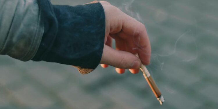 Best Menthol Cigarettes: A Smart User’s Guide