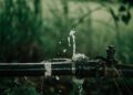 Repair Sewer Line: What Homeowners Really Want to Know