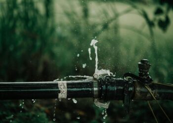 Repair Sewer Line: What Homeowners Really Want to Know