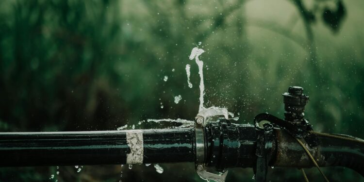 Repair Sewer Line: What Homeowners Really Want to Know