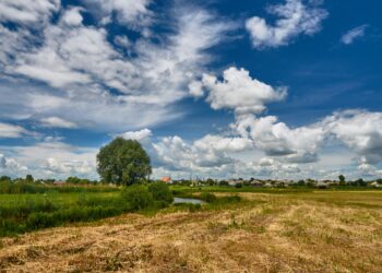 Lawsuit Against Todd Creek Farms HOA: What Really Happened